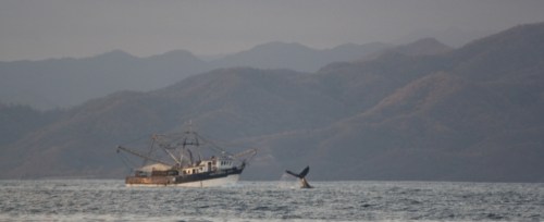 Not one, but TWO obstacles!