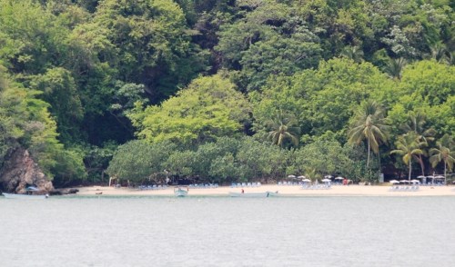 First sighting on the Beach at Isla Tolinga