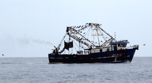 Lady Natalia, a lonely fishing boat and only sign of life we've seen all day.