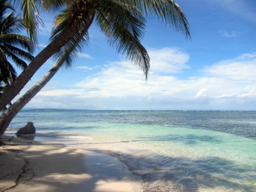 A view to make you envious...