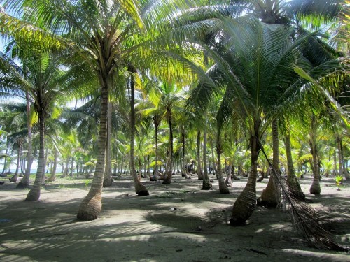 And this is the inside of Achu Tupu Pipi Island
