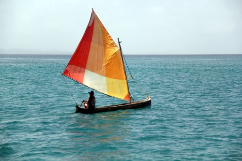 Another colorful Ulu passing by...