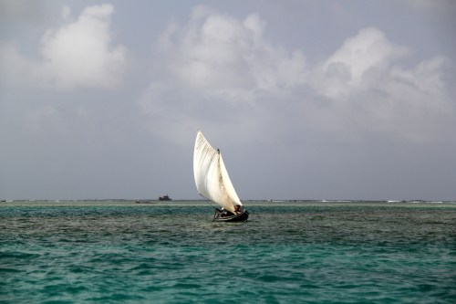 The Kuna cover great distances with their dugout canoes
