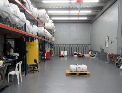 Our little Switlick all alone in the middle, waiting for attention.