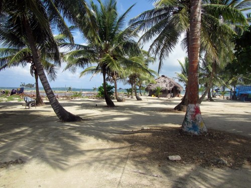 Isla Elefante, where they even decorate the Palm Tree trunks!