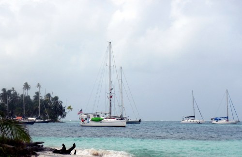 Camelot at rest in Coco Banderos