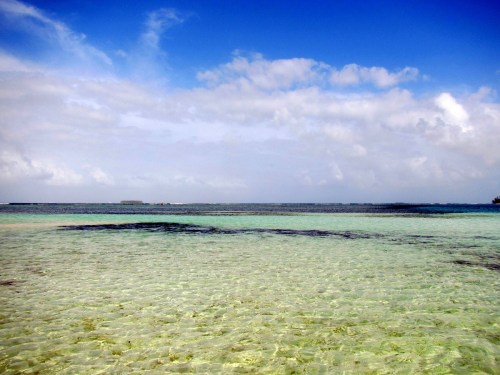 The clearest waters I've ever seen!