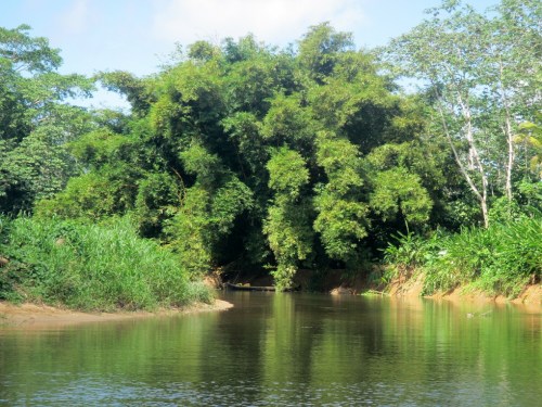 We took a bath right here!