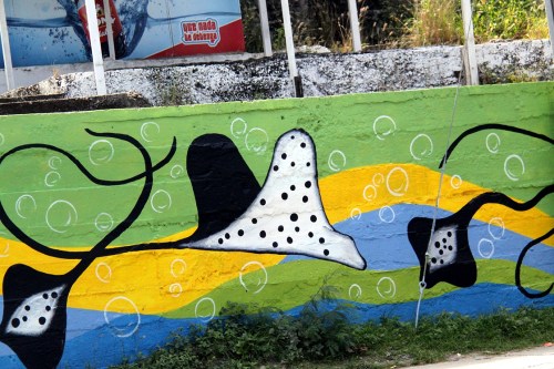 Why leave a wall blank...