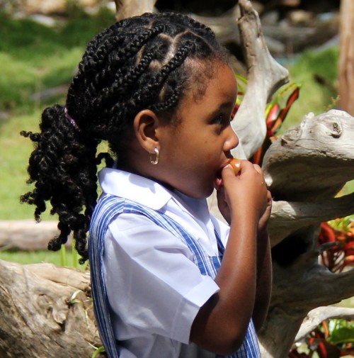 The cutest resident of Santa Catalina Island
