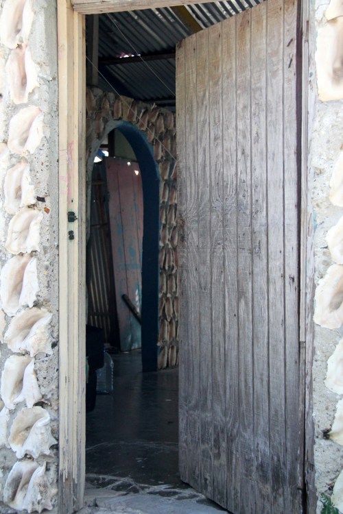 And more Conch Shells inside...