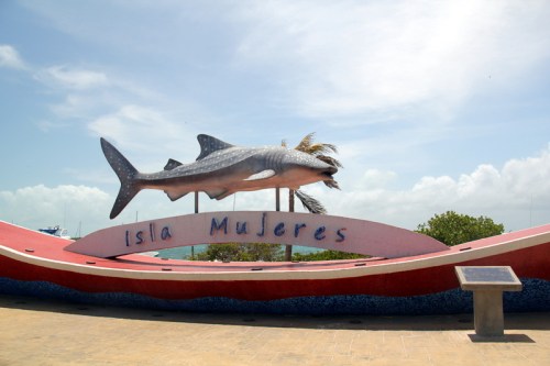 Tribute to the Whale Shark!